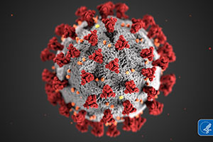 Coronavirus-Disease-2019-COVID-19-CDC-Image.jpg